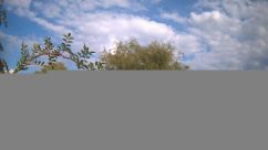 Rosarium Webcam