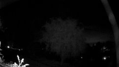 Rosarium Webcam