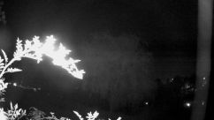 Rosarium Webcam