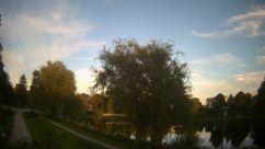 Rosarium Webcam