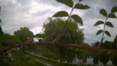 Rosarium Webcam