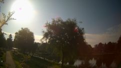 Rosarium Webcam