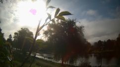 Rosarium Webcam