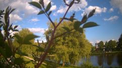 Rosarium Webcam