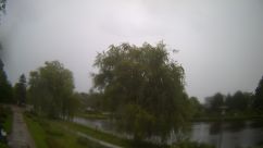 Rosarium Webcam