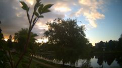 Rosarium Webcam