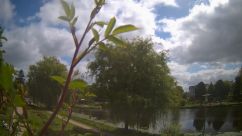 Rosarium Webcam