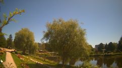 Rosarium Webcam