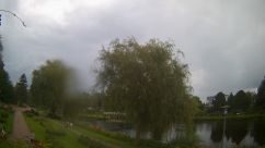 Rosarium Webcam