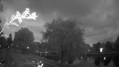 Rosarium Webcam