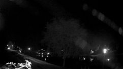 Rosarium Webcam
