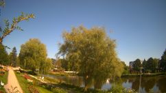 Rosarium Webcam