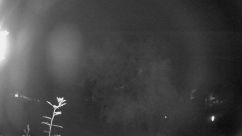 Rosarium Webcam