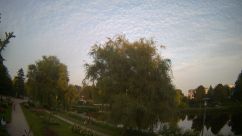 Rosarium Webcam