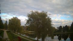 Rosarium Webcam