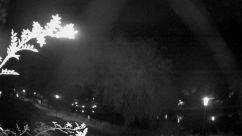 Rosarium Webcam