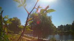 Rosarium Webcam