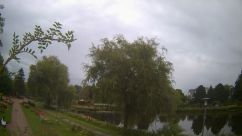 Rosarium Webcam
