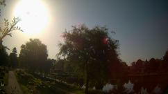 Rosarium Webcam