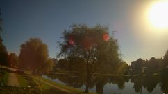 Rosarium Webcam