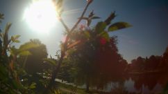 Rosarium Webcam
