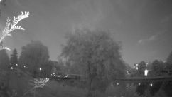 Rosarium Webcam