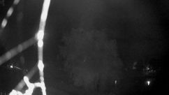 Rosarium Webcam