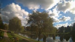 Rosarium Webcam