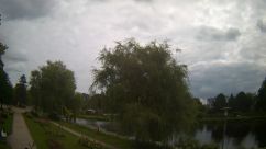 Rosarium Webcam