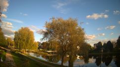 Rosarium Webcam