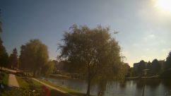 Rosarium Webcam