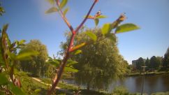 Rosarium Webcam