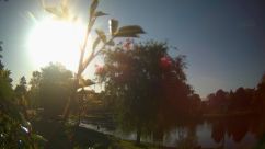 Rosarium Webcam