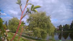 Rosarium Webcam
