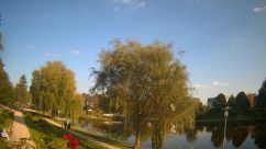 Rosarium Webcam