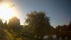 Rosarium Webcam