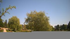 Rosarium Webcam