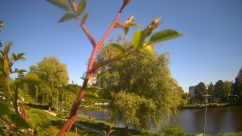 Rosarium Webcam