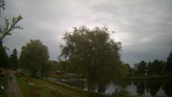 Rosarium Webcam
