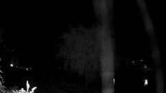 Rosarium Webcam