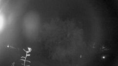 Rosarium Webcam