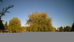 Rosarium Webcam