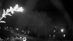 Rosarium Webcam
