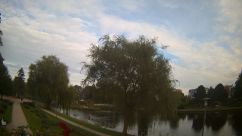 Rosarium Webcam