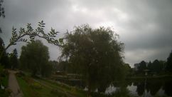 Rosarium Webcam