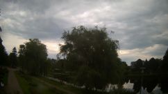 Rosarium Webcam