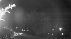 Rosarium Webcam