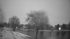 Rosarium Webcam