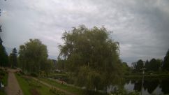 Rosarium Webcam