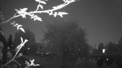 Rosarium Webcam